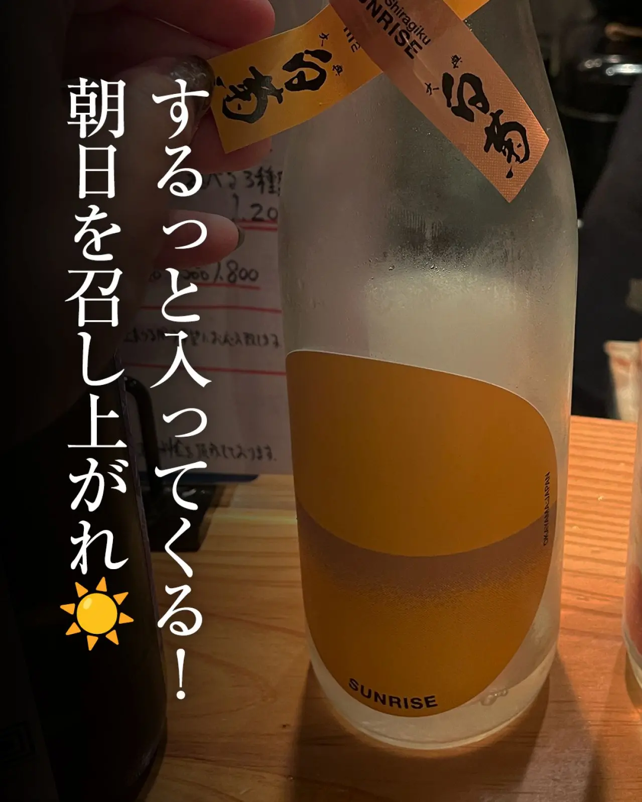 大典しらぎく サンライズイエロー 生