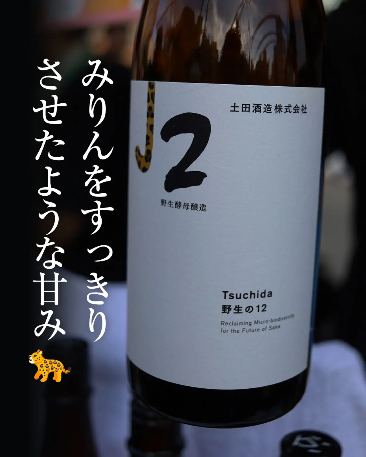 Tsuchida 野生の12