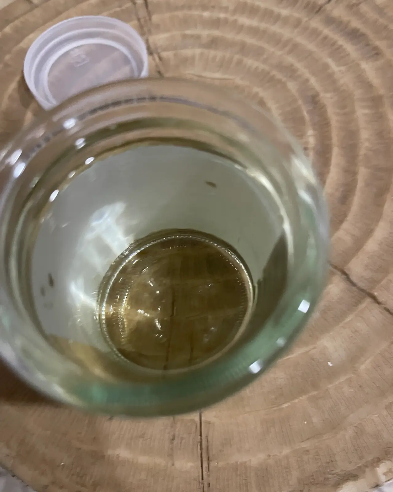 帝松 地酒カップ