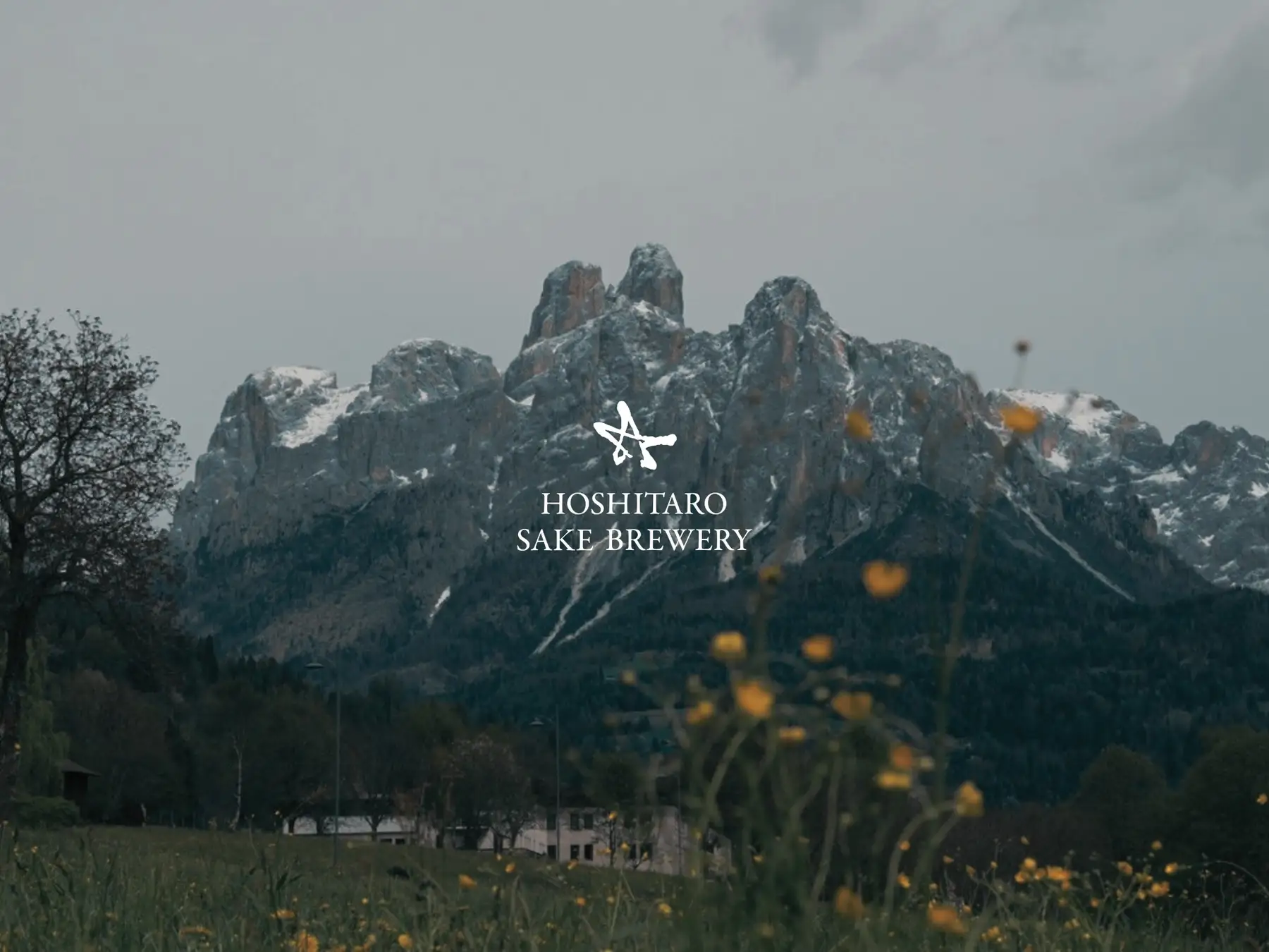 【イタリア初】ユネスコ世界遺産ドロミテに日本人酒蔵が誕生